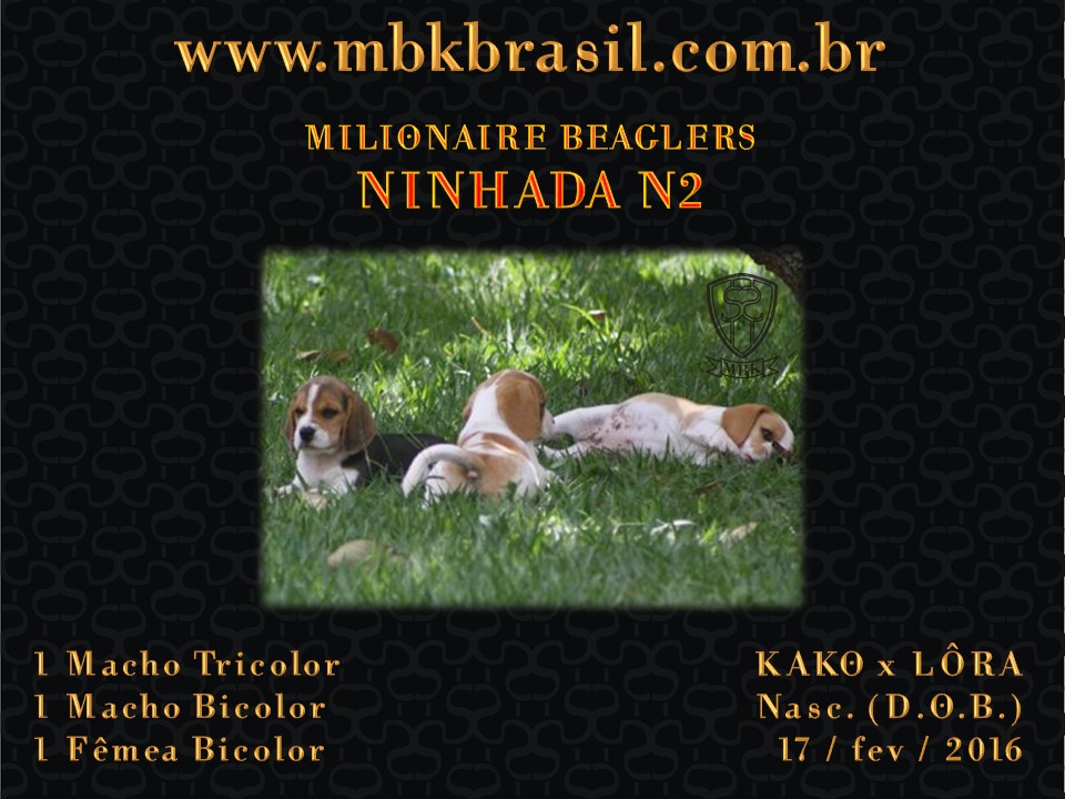 Filhotes Kako x Lora-17fev2016 - web (1)