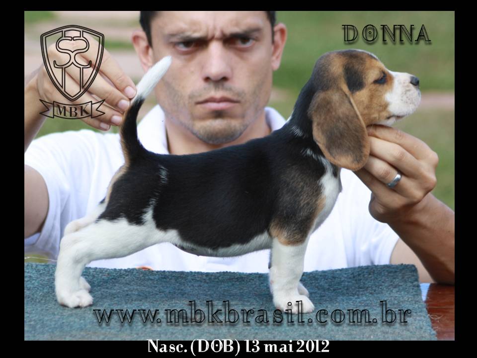 Filhotes Polo x Vivi 13-05-2012 (1)