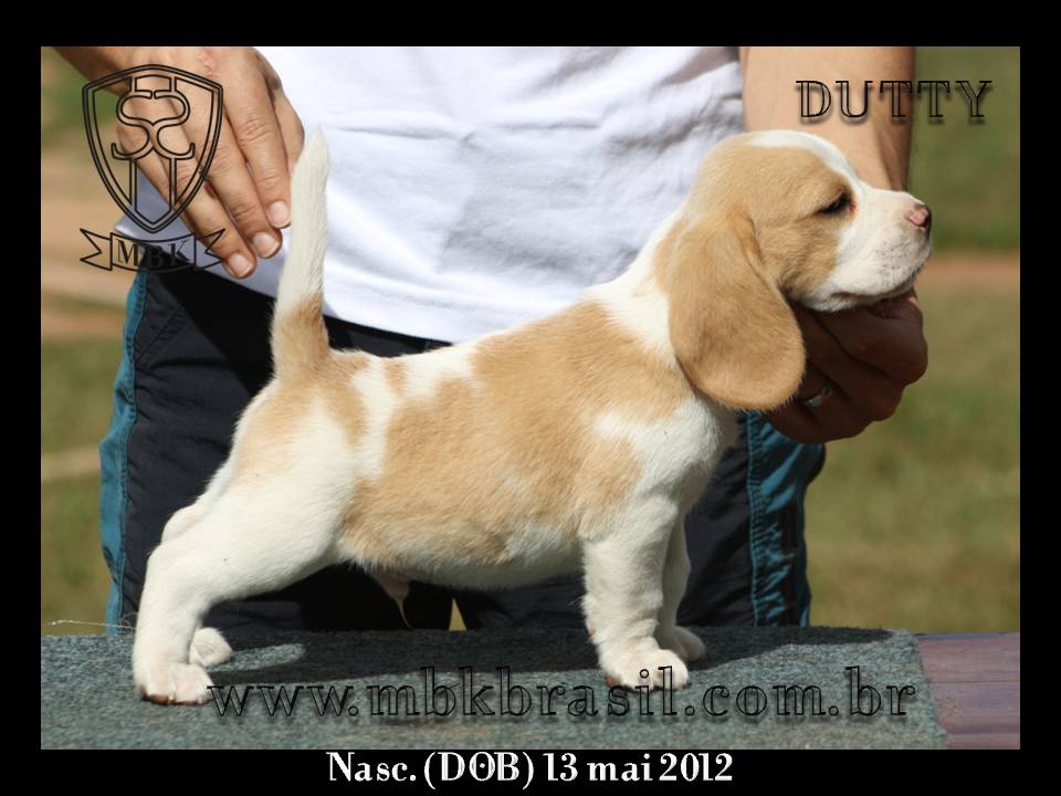 Filhotes Polo x Vivi 13-05-2012 (11)