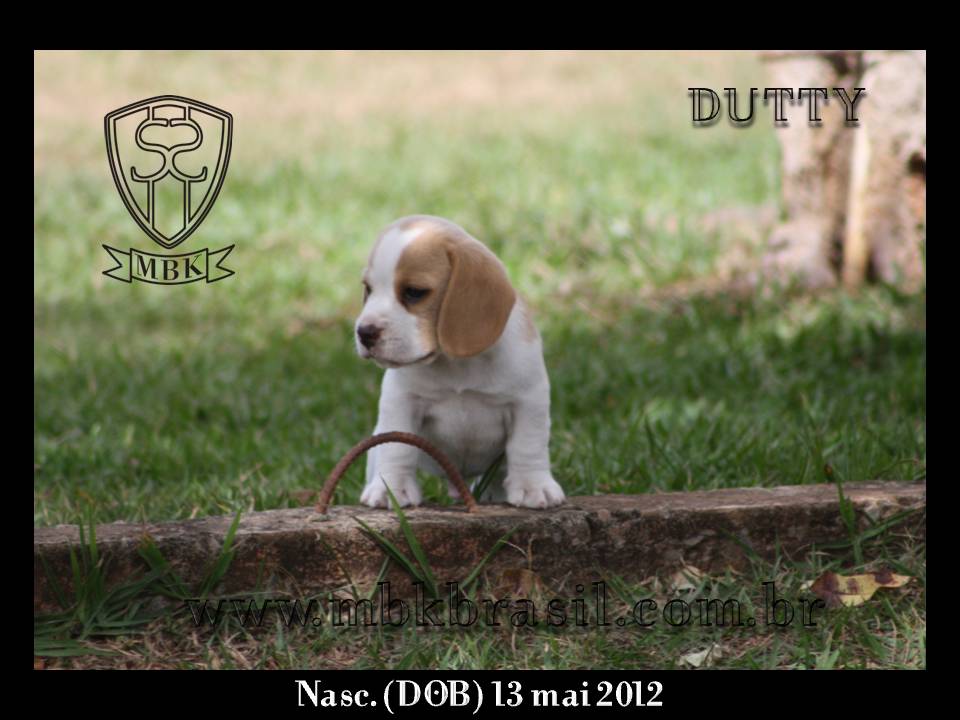 Filhotes Polo x Vivi 13-05-2012 (12)