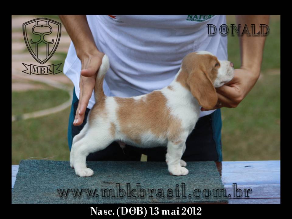 Filhotes Polo x Vivi 13-05-2012 (13)