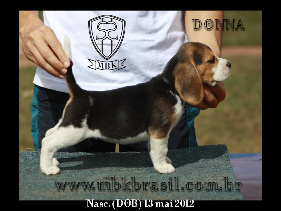 Filhotes Polo x Vivi 13-05-2012 (2)