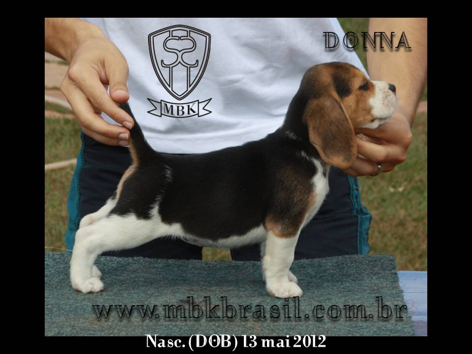 Filhotes Polo x Vivi 13-05-2012 (3)