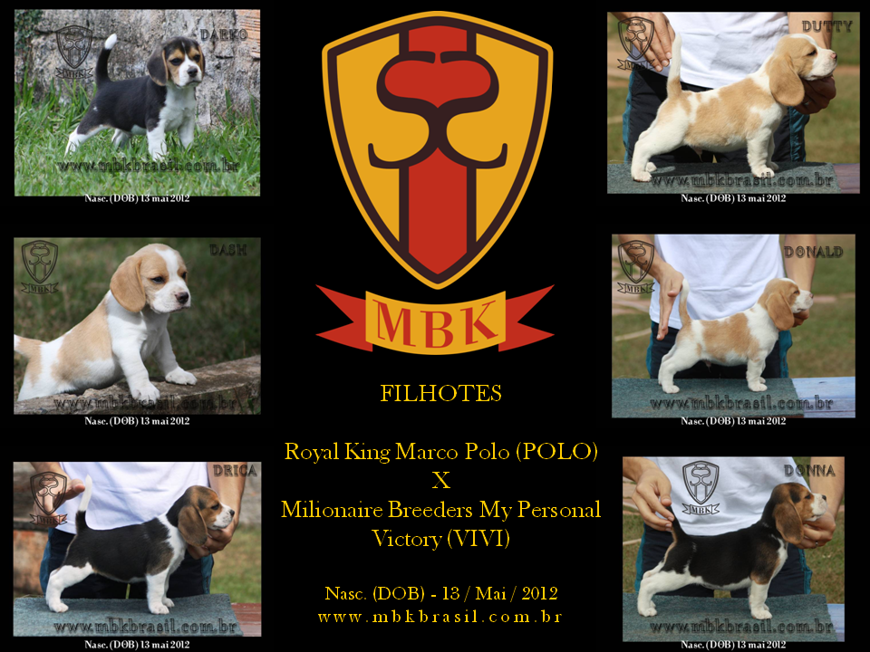 Filhotes Polo x Vivi 13-05-2012